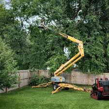 Best Tree Removal Services  in Teutopolis, IL